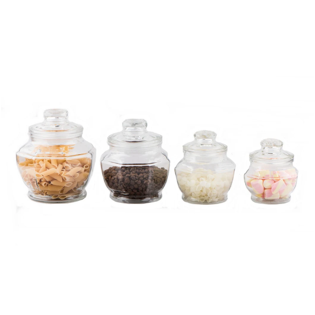 Glass Cookie Jar / Food Storage Jar / Candy Jar/ Food Canister with Glass Lid