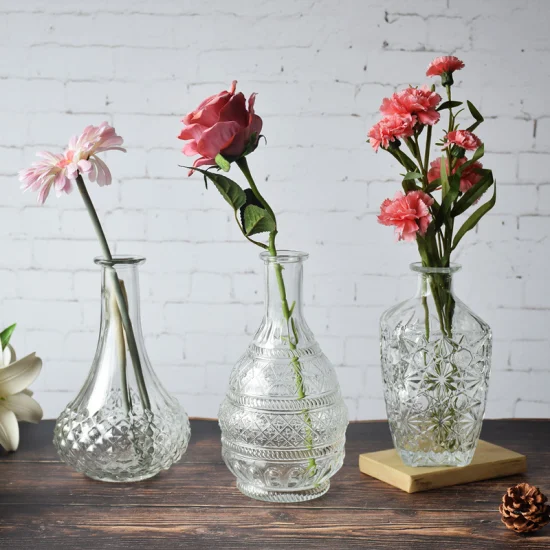 Popolare vaso di vetro moderno, vaso di fiori decorativo in vetro, vaso da tavolo per ufficio